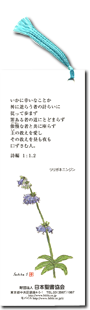 聖句のしおり
