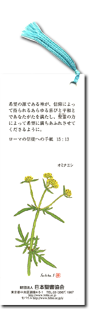 聖句のしおり