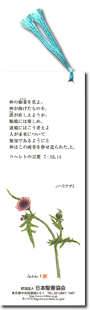 聖句のしおり