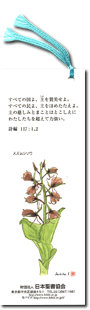 聖句のしおり